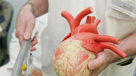 Izraelski znanstveniki natisnili srce iz človeškega tkiva