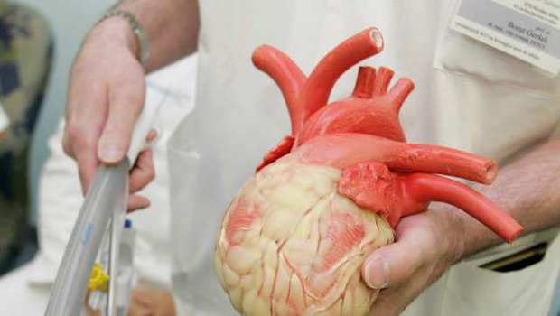 Na Japonskem dovolili gojenje človeških organov v živalih (foto: STA)