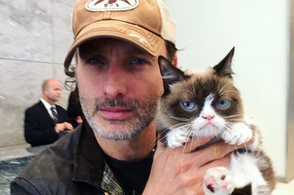 Spletna senzacija Grumpy Cat oziroma Čemerna mačka se je poslovila (foto: Profimedia)