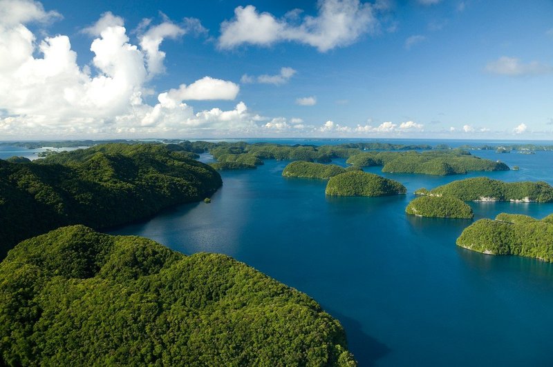 Palau: Turisti ob vstopu podpišejo zavezo, da se bodo obnašali okolju prijazno (foto: profimedia)
