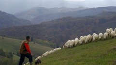 Z učenjem od sosedov bomo lažje našli formulo uspešnega sobivanja z velikimi zvermi