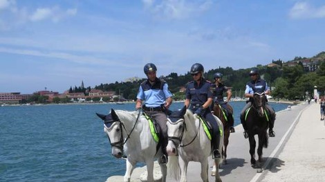 Avstrijski in slovenski policisti na konjih v skupni patrulji v Piranu