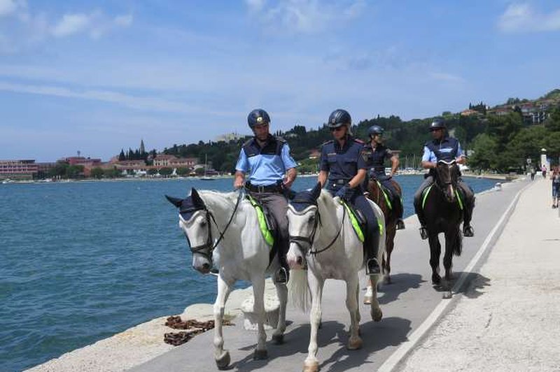 Avstrijski in slovenski policisti na konjih v skupni patrulji v Piranu (foto: Mitja Volčanšek/STA)
