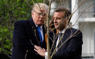 Posušilo se je drevo prijateljstva, ki sta ga posadila Donald Trump in Emmanuel Macron