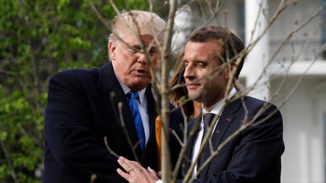 Posušilo se je drevo prijateljstva, ki sta ga posadila Donald Trump in Emmanuel Macron