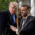 Macron bo Trumpu brez večje drame pač podaril novo drevo