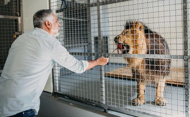 Levji kralj v ZOO Ljubljana: igralci obiskali prave živali!