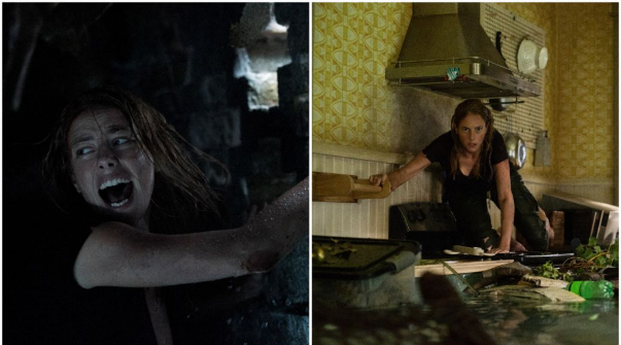 Kmalu v kinu: grozljivka Plazenje (Crawl)! (foto: Karantanija Cinemas)