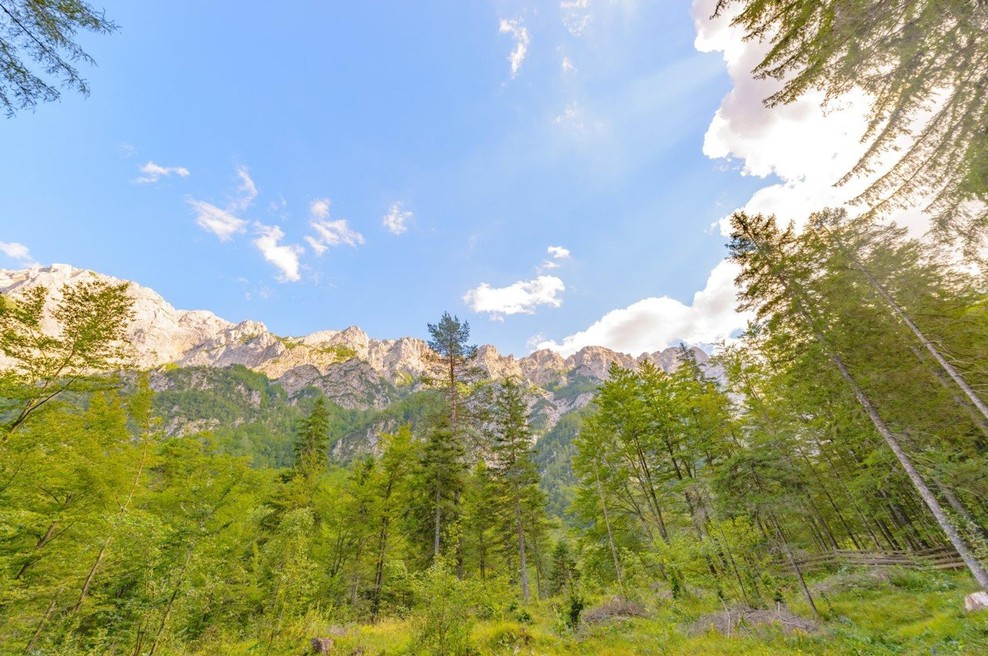 Zdrs med Planjavo in Lučko babo usoden za slovensko planinko (foto: profimedia)