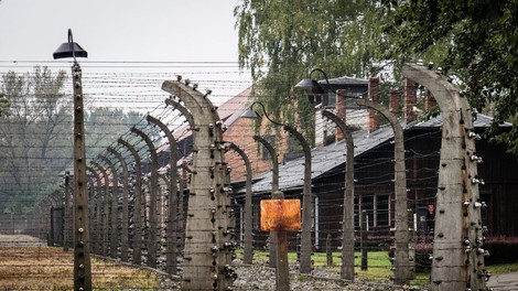 Auschwitz: Dan spomina na žrtve nacističnega genocida nad Romi