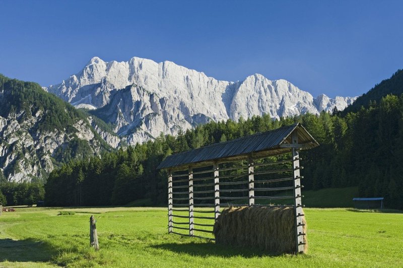V slovenskih gorah sta danes ugasnili dve življenji (foto: profimedia)