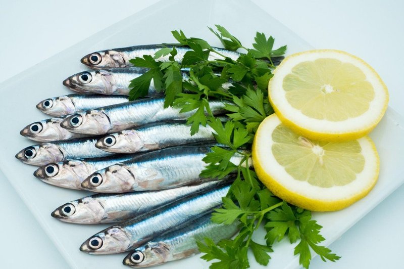 Previdno pri nakupu morske hrane! (foto: Profimedia)