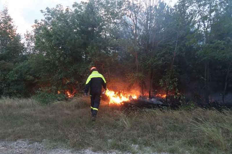 Govorilo se je, da je požar na Krasu zanetil požigalec, policija pa zdaj pojasnjuje, kakšen je pravi razlog (foto: STA/Rosana Rijavec)