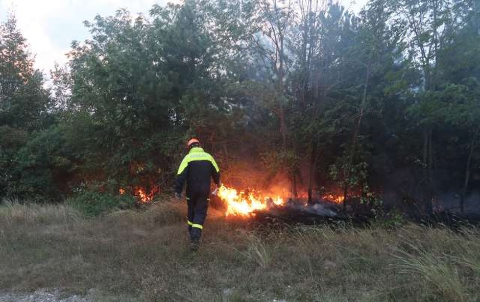Govorilo se je, da je požar na Krasu zanetil požigalec, policija pa zdaj pojasnjuje, kakšen je pravi razlog (foto: STA/Rosana Rijavec)