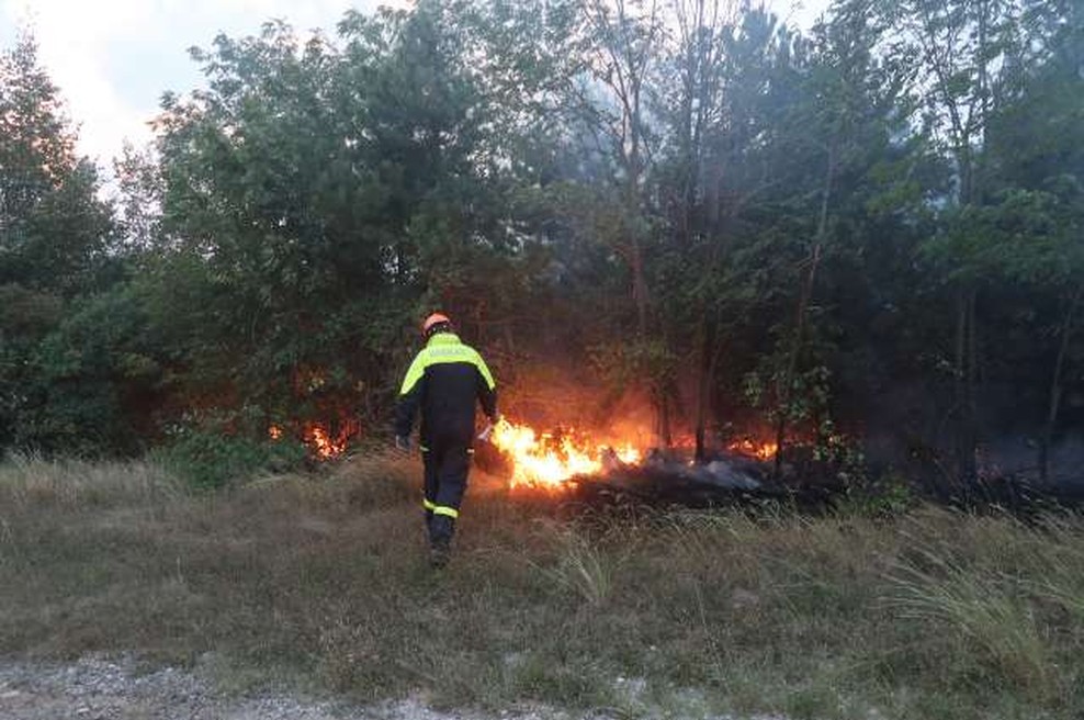 Govorilo se je, da je požar na Krasu zanetil požigalec, policija pa zdaj pojasnjuje, kakšen je pravi razlog (foto: STA/Rosana Rijavec)
