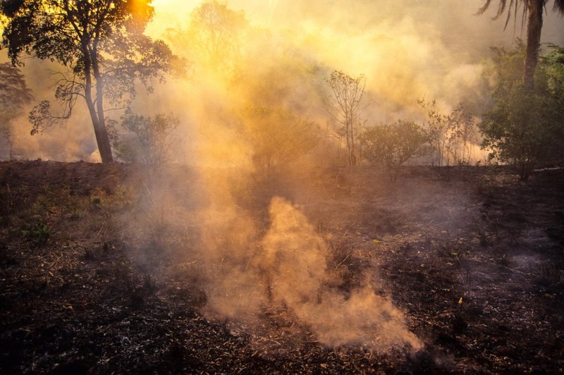 Brazilski predsednik odgovornost za požare v pragozdu prevalil na - nevladnike! (foto: Profimedia)