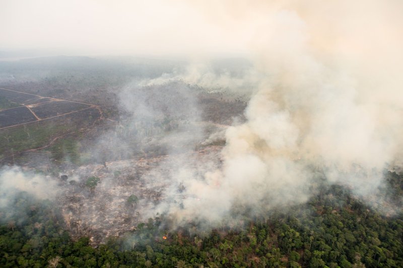 G7 z 20 milijoni evrov pomoči za spopadanje s požari v Amazoniji (foto: Profimedia)