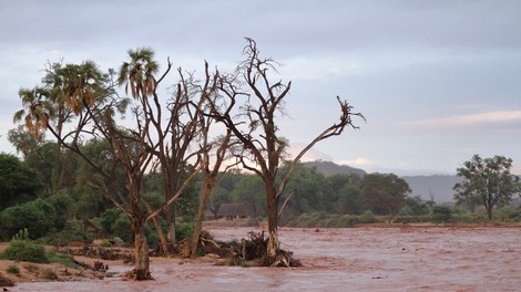 V poplavah v kenijskem nacionalnem parku tudi mrtvi, med njimi več turistov!