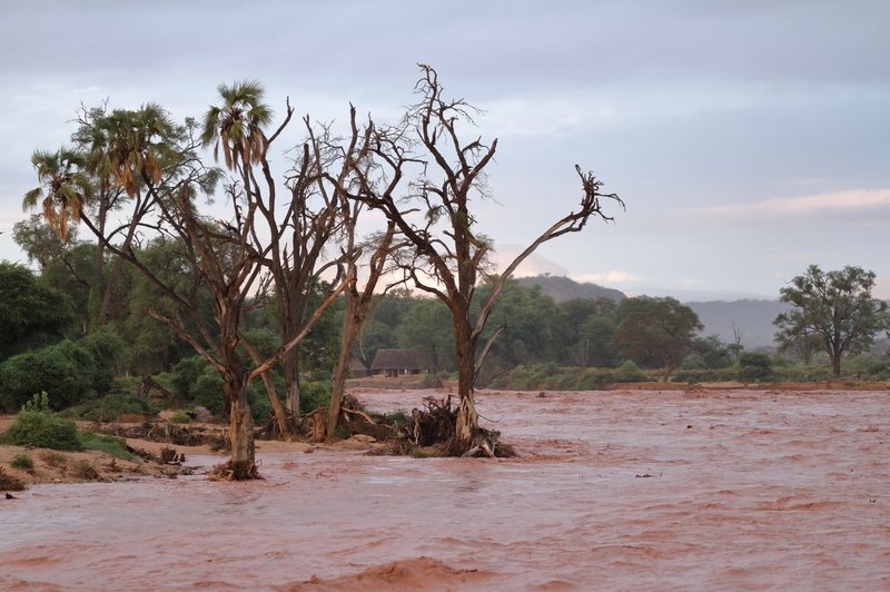V poplavah v kenijskem nacionalnem parku tudi mrtvi, med njimi več turistov! (foto: profimedia)