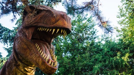 Odkrili novo vrsto dinozavra in jo poimenovali japonski zmajski bog