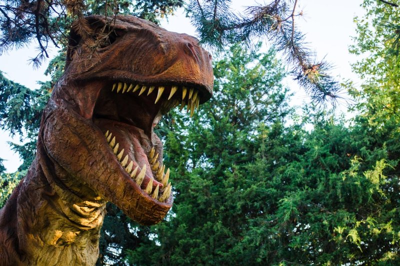 Odkrili novo vrsto dinozavra in jo poimenovali japonski zmajski bog (foto: profimedia)