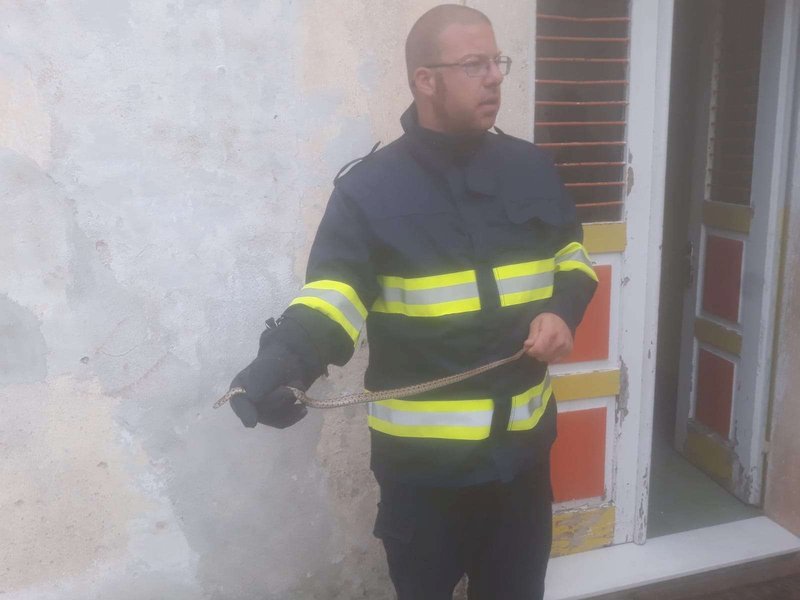 Gasilci na Hrvaškem lovili kačo v otroškem vrtcu (foto: Uradna Facebook stran Prostovoljnega gasilskega društva Sali)