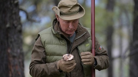 Putin je za 67. rojstni dan nabiral gobe