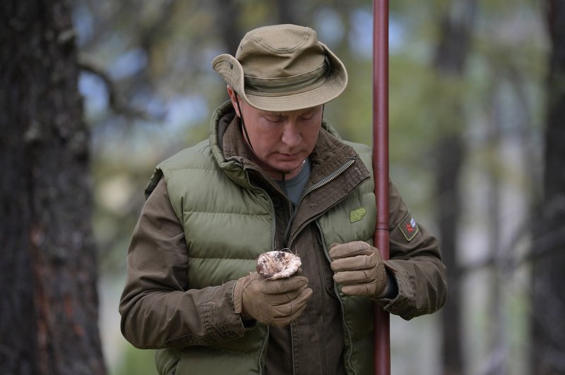 Putin praznuje rojstni dan: Ob tej priložnosti se je odpravil gobarit (foto: Profimedia)