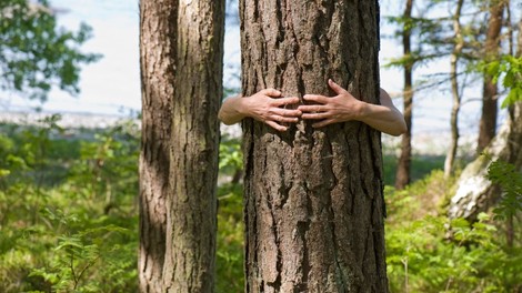 Rudi Beiser o tem, kako se srečati z božansko energijo drevesa!