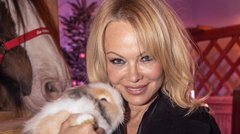 Prelestna Pamela Anderson je k sebi stisnila puhastega zajčka.