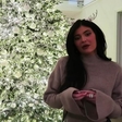 Kylie Jenner je objavila fotografijo, na kateri nosi samo plašč in ničesar drugega!