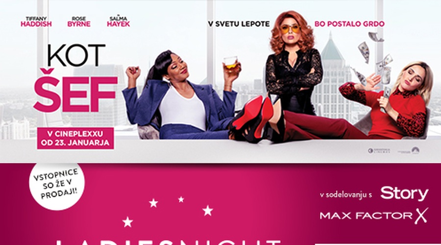 V Cineplexx ponovno prihaja LADIES NIGHT - tokrat s filmom KOT ŠEF (foto: PROMO)