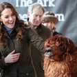 Kate Middleton nepričakovano obiskala lokalno kmetijo in oblekla takšno modno kombinacijo