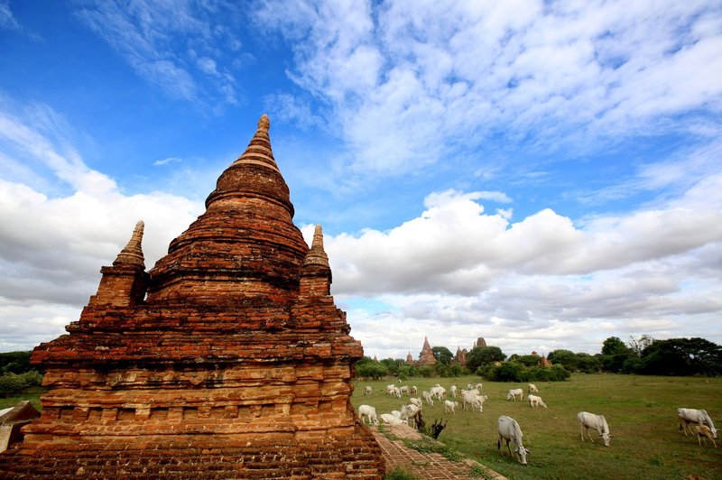 V mjanmarskem templju sta turista posnela porno film (foto: Profimedia)