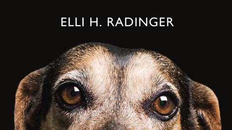 Elli H. Radinger, avtorica uspešnice Modrost volkov, prihaja v Slovenijo!