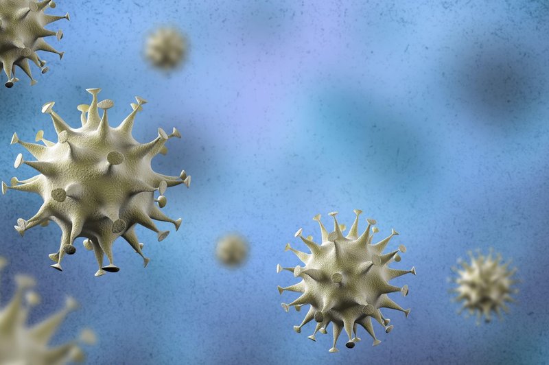 Harvardski profesor: Koronavirus bo dobilo kar 70 % svetovne populacije (foto: Profimedia)