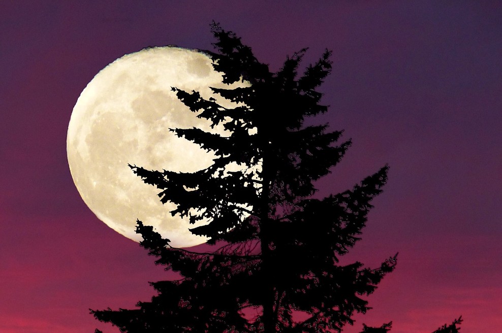 Kaj nam prinaša Sveta luna in kaj to pomeni za koronavirus? (foto: Pixabay)
