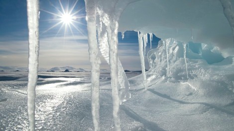 Znanstveniki se bojijo posledic taljenja arktičnega ledu
