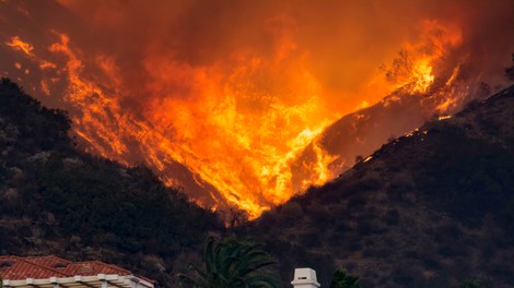 Požari na zahodu ZDA se širijo, v Oregonu ukazali evakuacijo pol milijona ljudi