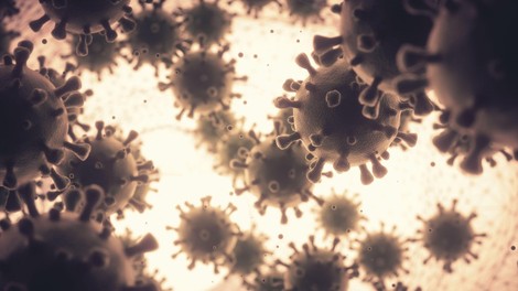 Zagovorniki čredne imunosti na koronavirus so v nevarni zmoti, svarijo strokovnjaki