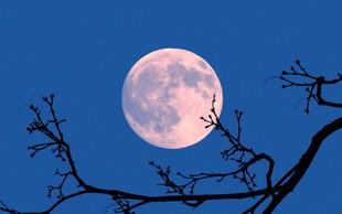 Šamanska astrologinja razkriva, kaj nam prinaša super luna in kako nas bo zatreslo