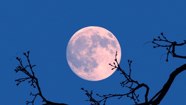 Šamanska astrologinja razkriva, kaj nam prinaša super luna in kako nas bo zatreslo (foto: Profimedia)