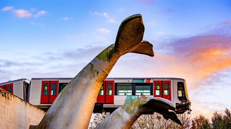 Skulptura kita na Nizozemskem "rešila" vlak podzemne železnice