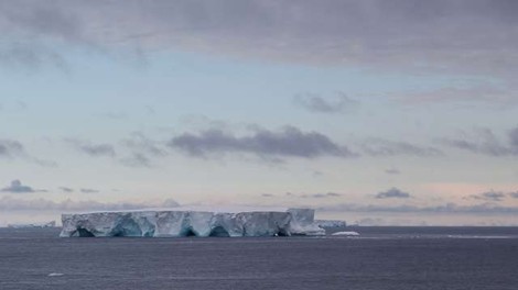 Največja ledena plošča na svetu se približuje odročnemu otoku v južnem Atlantskem oceanu