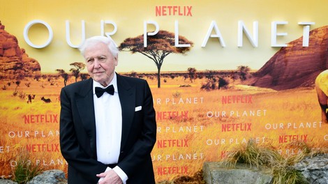 Najpomembnejši dokumentarec leta - David Attenborough: A Life On Our Planet