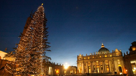 Slovenija bo letos praznično okrasila Vatikan, 75 let staro božično drevo iz Kočevja ža poti
