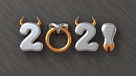 Kitajski horoskop 2021: Prihaja leto kovinskega Bivola!