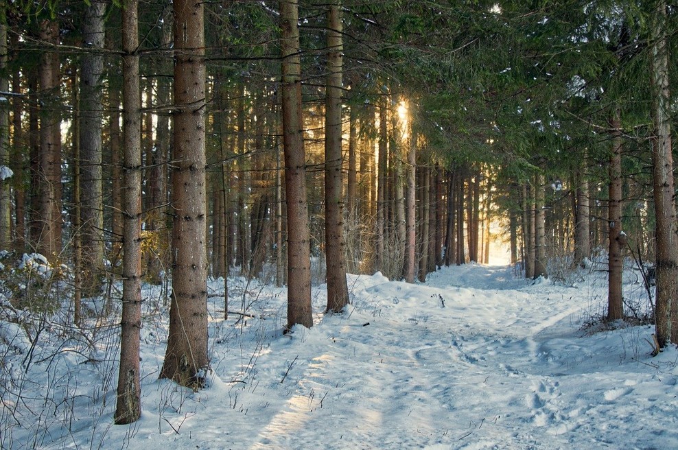 To je največja duhovna skrivnost leta 2021 (foto: Pixabay)