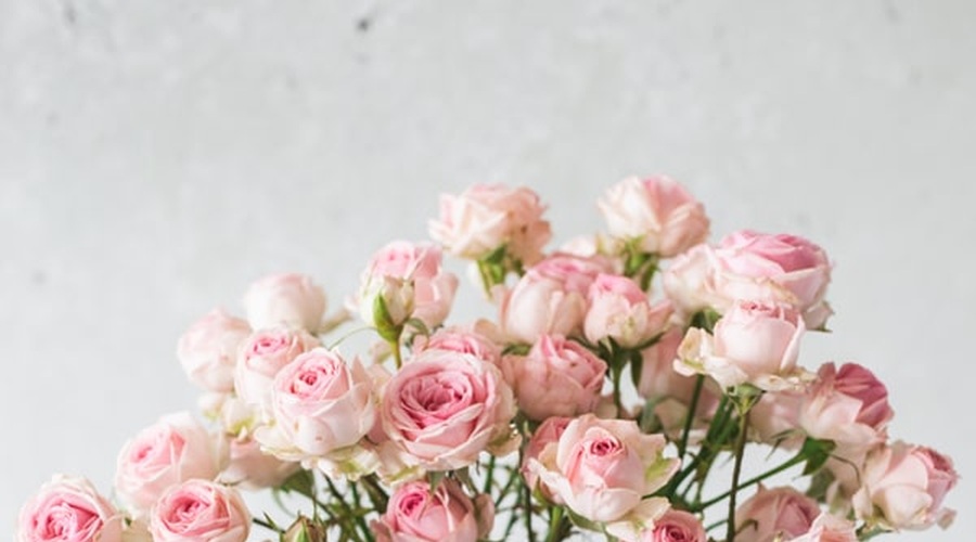 'Flower Therapy' za vse, ki si želite doživeti edinstveno izkušnjo sprostitve (foto: Sanjski šopek)