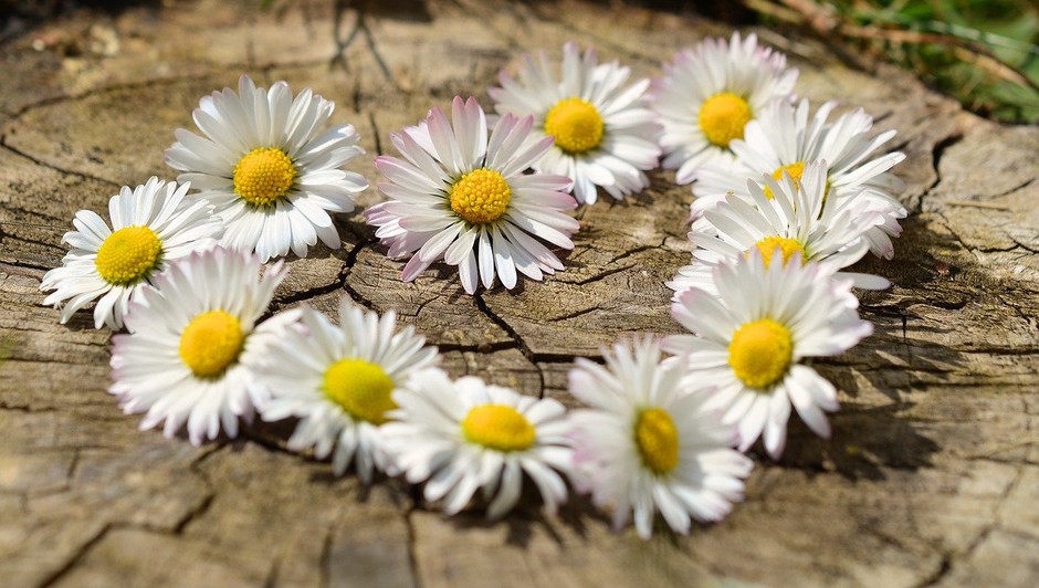 Energijska napoved: Čustvena ujma pred pomladnim solsticijem (foto: Pixabay)